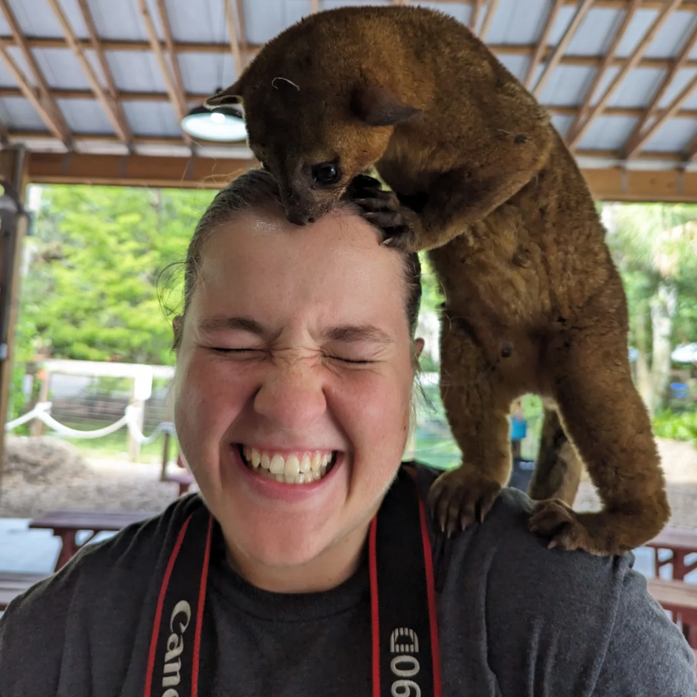 A Get Fish Slapped Team Member took a selfie of an interaction with a lemur at the zoo. The team member is laughing. 