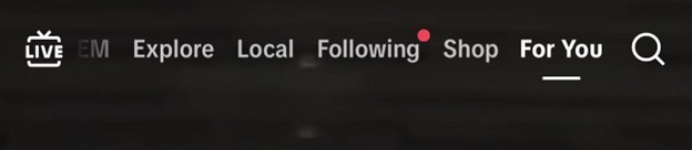 The search bar of the TikTok application